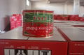 70g-4500g resonable price Canned Tomato