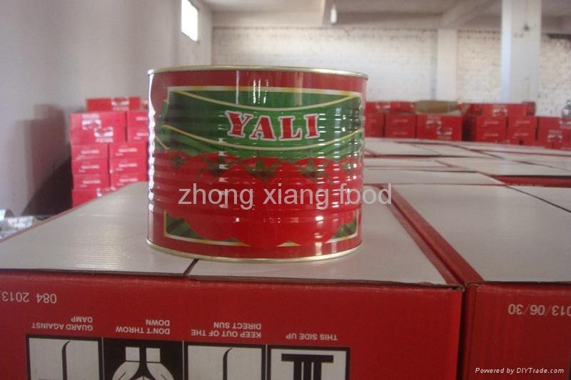 70g-4500g resonable price Canned Tomato Sauce, Tomato Paste  