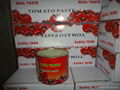 Top quality tomato Paste 100% tomato sauce  