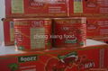 Hot sale for Canned Tomato Paste,Ketchup