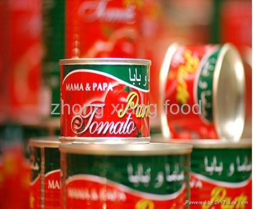 Hot sale for Canned Tomato Paste,Ketchup,Tomato Sauce, all specifications   2