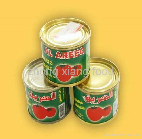 best seller canned tomato paste canned tomato sauce 70g brix 28-30%   2
