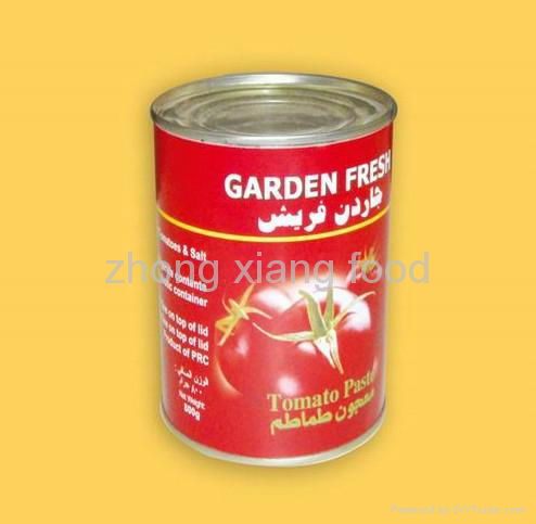 best seller canned tomato paste canned tomato sauce 70g brix 28-30%   3