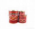 Tin Tomato Paste,branded ketchup tomato sauce   2