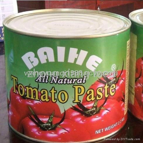 canned tomato sauces ,hot selling in African countries,canned tomato past 3
