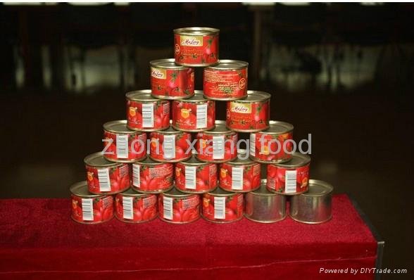 Good Quality Canned Tomato Paste 70g-4500g (FR70) 2