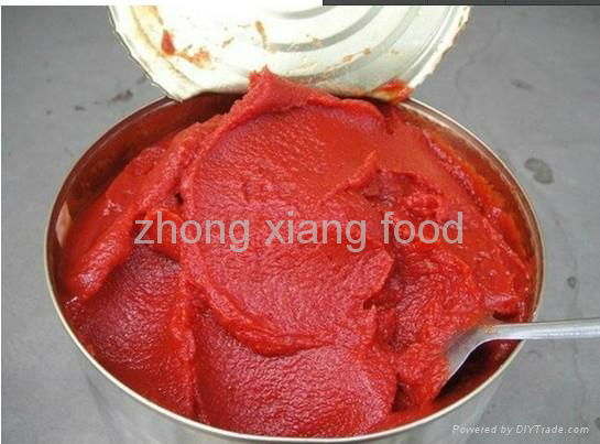 Bulk Tomato Paste Sauce 5