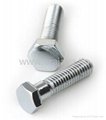 SALE Stainless Steel Hex Bolts