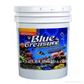 Live Tropical Fish Feeding Tropical Fish Sea Salt 3