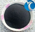 Boron Carbide 1