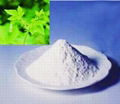 High quality stevia power - RA90/RA95/RA97/RA98