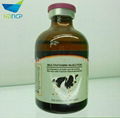 Good quality Multi-vitamin Injection made in China   2