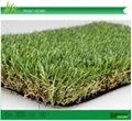 Landscape Artificial Grass 2