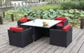 Rattan dining set (T2101)