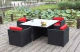 Rattan dining set (T2101)