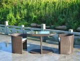 Rattan dining set (T2101E)