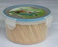 Bamboo toothpicks