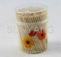 Plastic jar bamboo toothpick 1