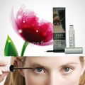 To Have Your Own Brand FEG Eyelash Enhancer Eyelash Growth 1