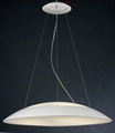 china manufacturer metal pendant light 2