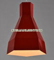 china manufacturer metal pendant light 5