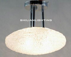 china manufacturer acrylic ceiling light