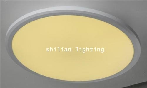 china manufacturer plastic ceiling light