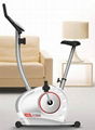 magnetic exercise bike