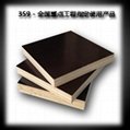 factory-directly sales film faced plywood commercial plywood  4