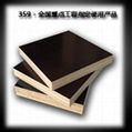 factory-directly sales film faced plywood commercial plywood  5