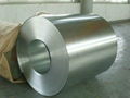 Prime quality Galvanized Steel Coil in stock 1