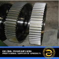 High Quality Coated Zinc Spur Gear For Industrial Machine 1