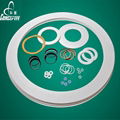 PTFE gasket 1