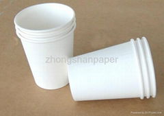 Paper Cups