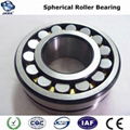 Spherical Roller Bearing 1