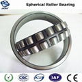 Spherical Roller Bearing 3