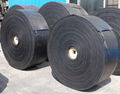 Heat Resistant Conveyor Belts  1