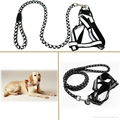 pet leash  4