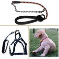 pet leash