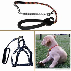 pet leash 