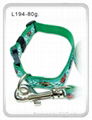 pet leash  2