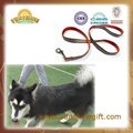 pet leash  5
