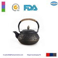 Enameled Cast Iron Teapot