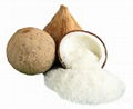 Vietnam Desiccated Coconut