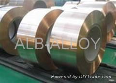 CuBe2 -C17200 Beryllium copper alloys