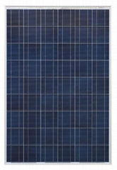 Polycrystalline Photovoltaic Module