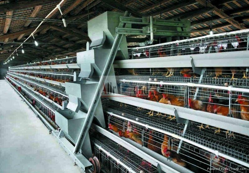 Best quality chicken cage for sale   3
