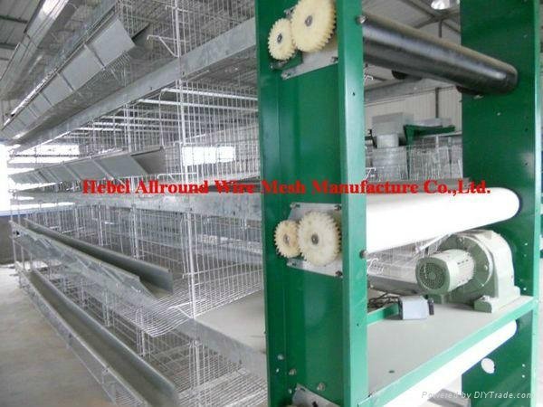 Full Automatic Raising Equipment With Egg Collection  