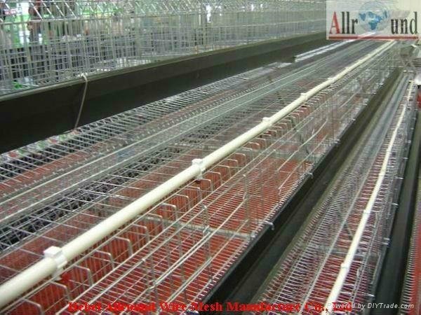 Full Automatic Raising Equipment With Egg Collection   3