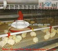 Automatic Broiler Poultry Farm Equipment   3